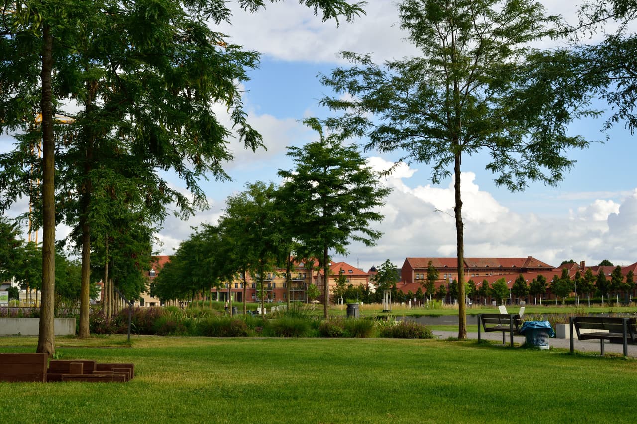 Galleriebild