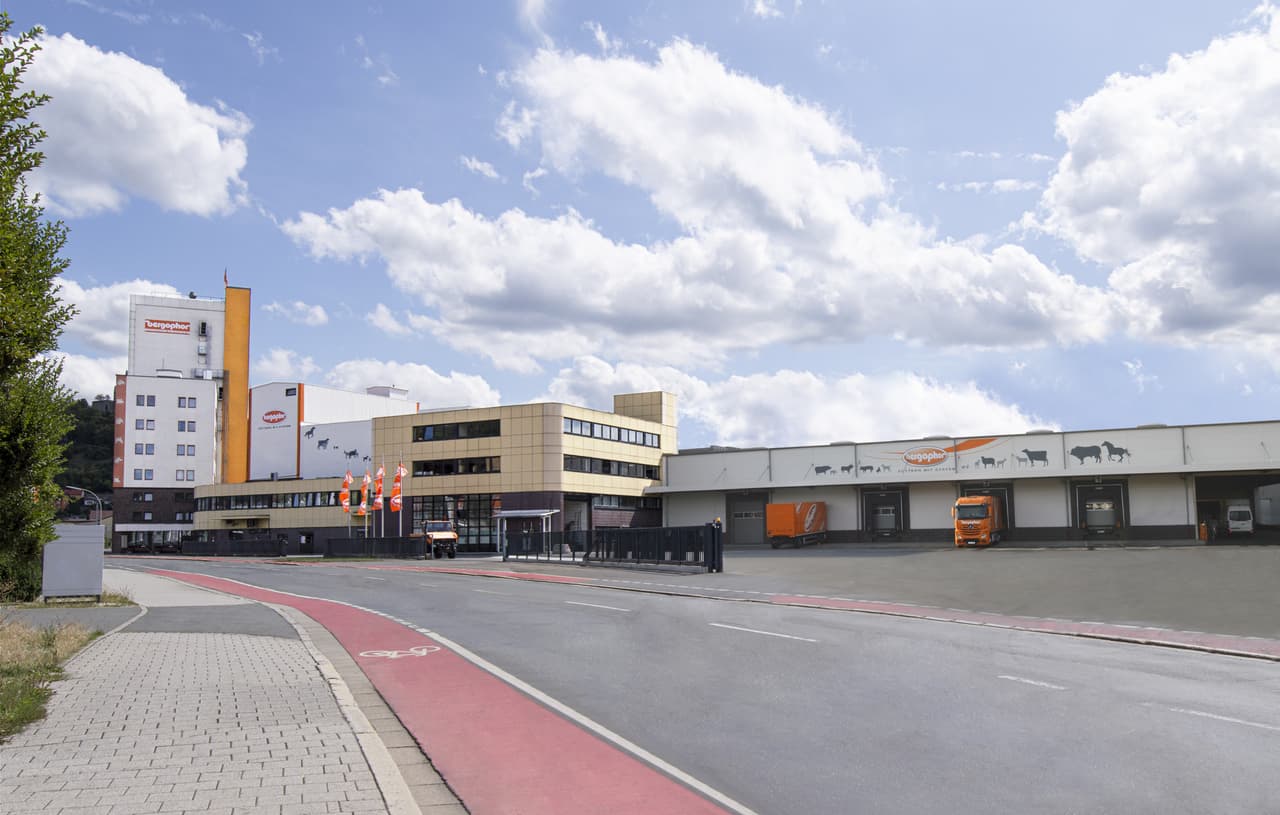 Galleriebild